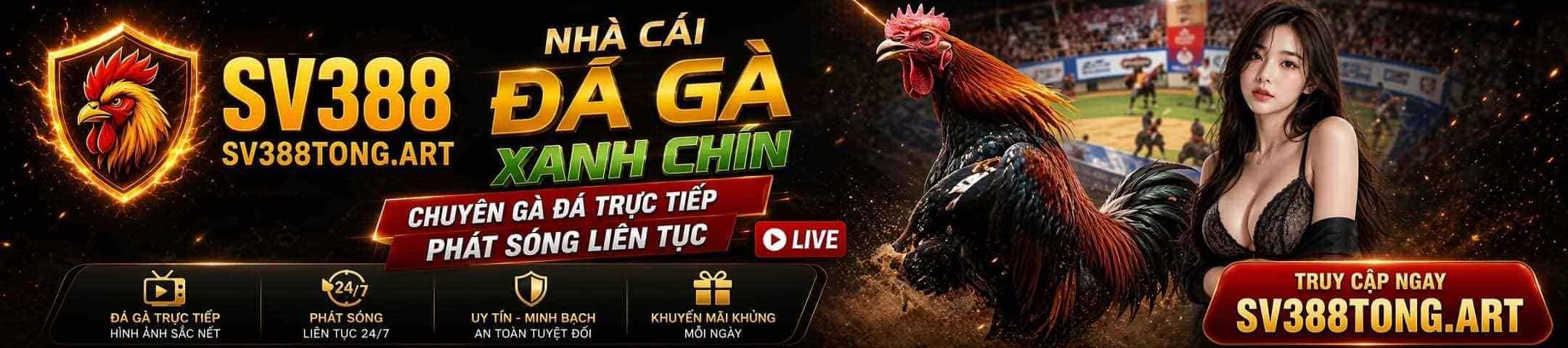 SV388 Nhà cái đá gà xanh chín uy tín hàng đầu châu Á